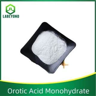 Orotic Acid Monohydrate CAS:50887-69-9