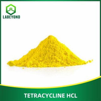 Tetracycline HCL CAS:64-75-5